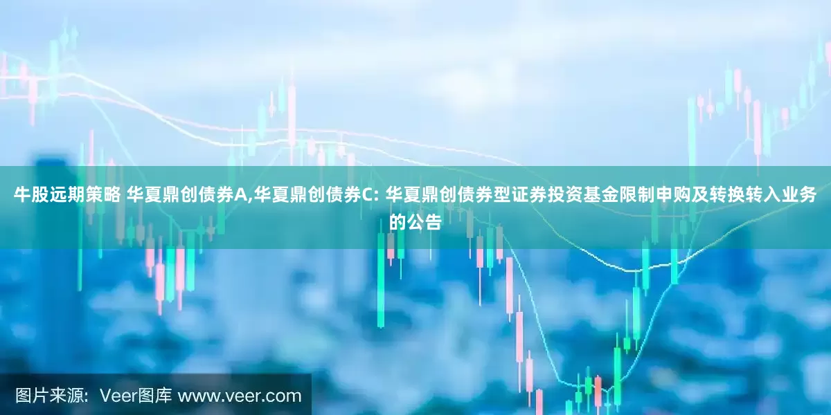 牛股远期策略 华夏鼎创债券A,华夏鼎创债券C: 华夏鼎创债券型证券投资基金限制申购及转换转入业务的公告