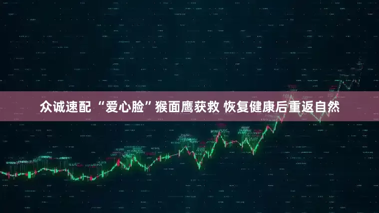众诚速配 “爱心脸”猴面鹰获救 恢复健康后重返自然